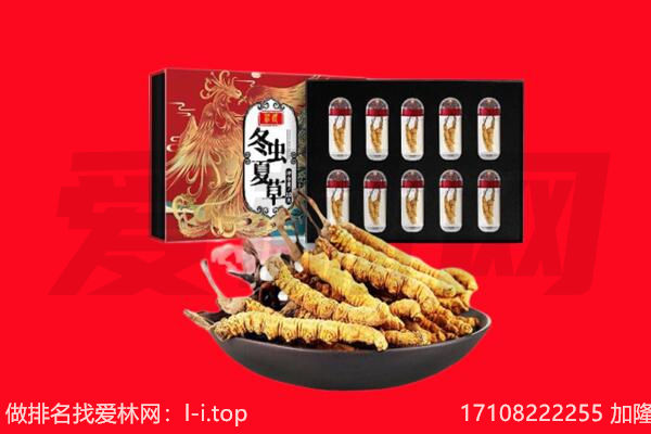 丹东回收虫草.jpg